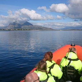 Seløy Kystferie – boat trips with RIB.