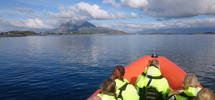 Seløy Kystferie – boat trips with RIB.