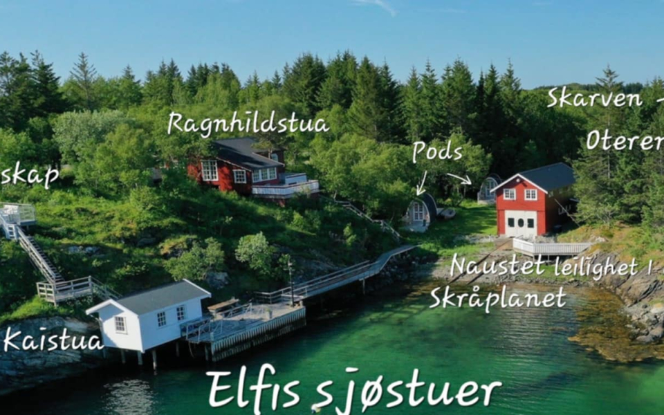 Elfis med tekst