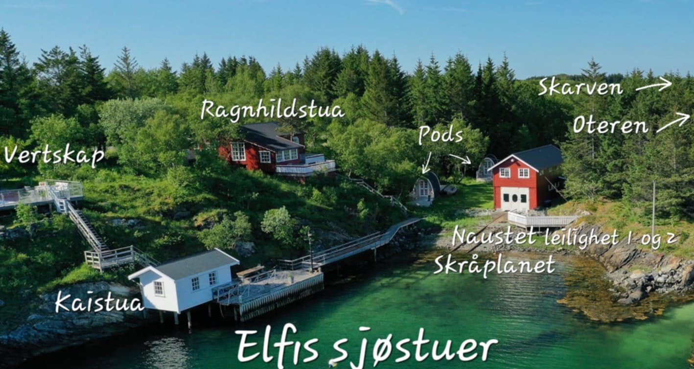 Elfis med tekst